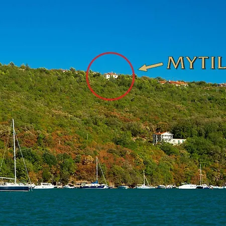 Mytilus 公寓